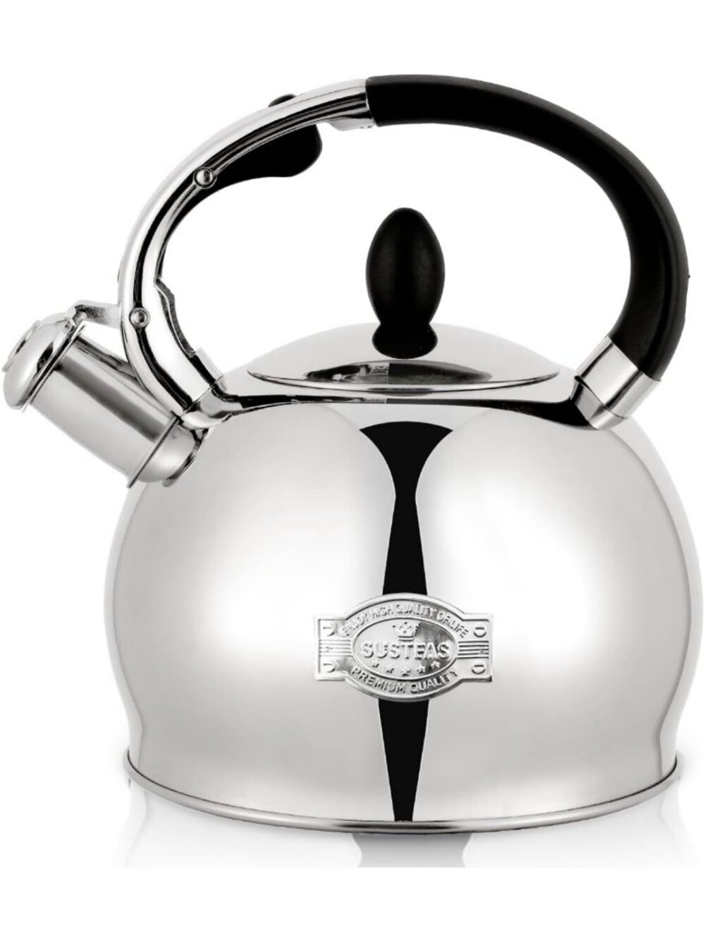 2.7QT Whistling Tea Kettle - Food-Grade Stainless Steel Teapot in Silver